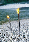Wachsfackel 55 cm 